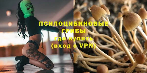 эйфоретик Аркадак