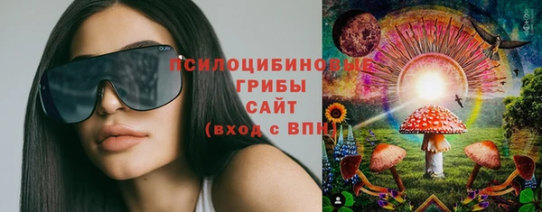 амф Семилуки